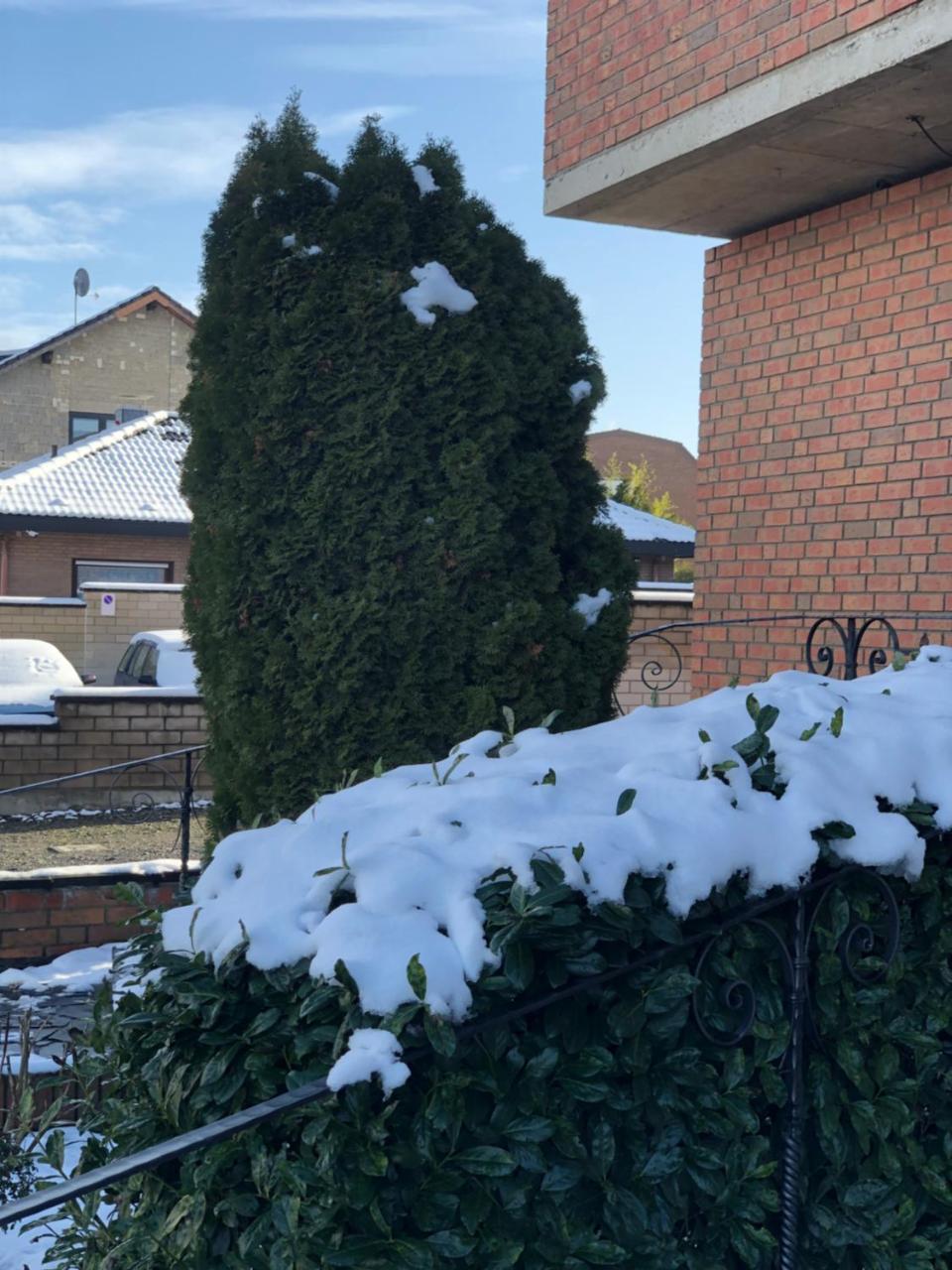 Hotel Garni Schafer Horrem Bagian luar foto